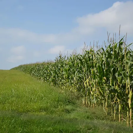 Farm La Renardiere 펜션 Leubringhen