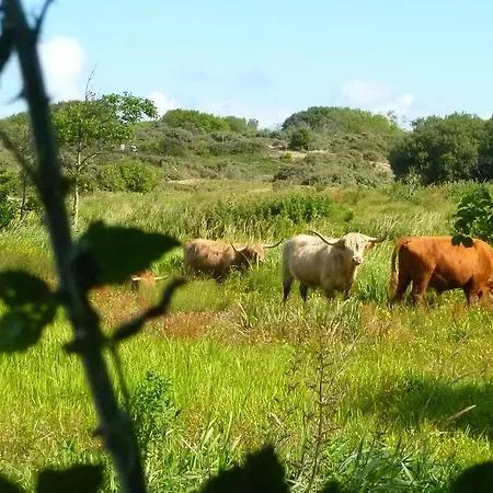 Farm La Renardiere 펜션
